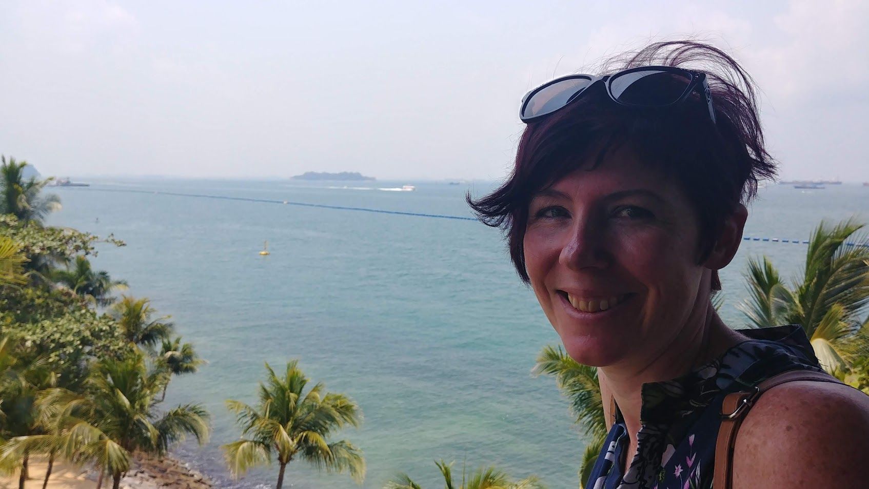 Palm Trees and Gardeners