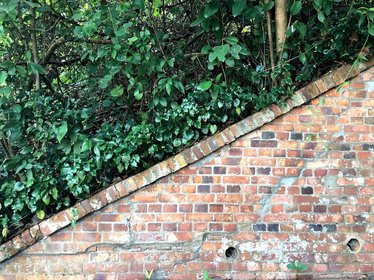 Scooters in Labrador Park