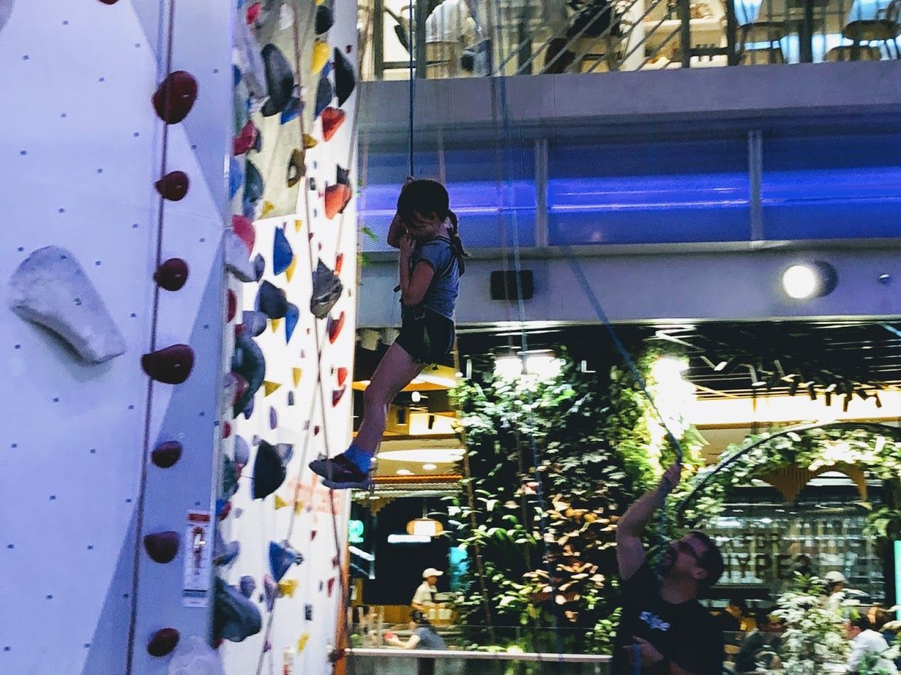 They Were Climbing the Walls!