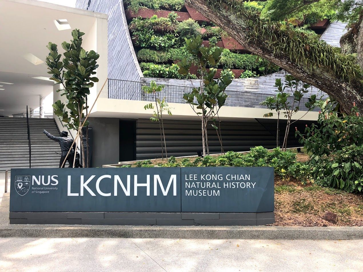 Lee Kong Chian Natural History Museum