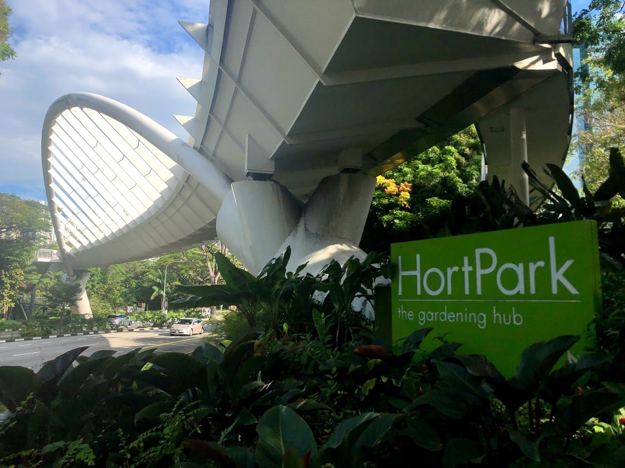 Hort Park and the PlayGarden