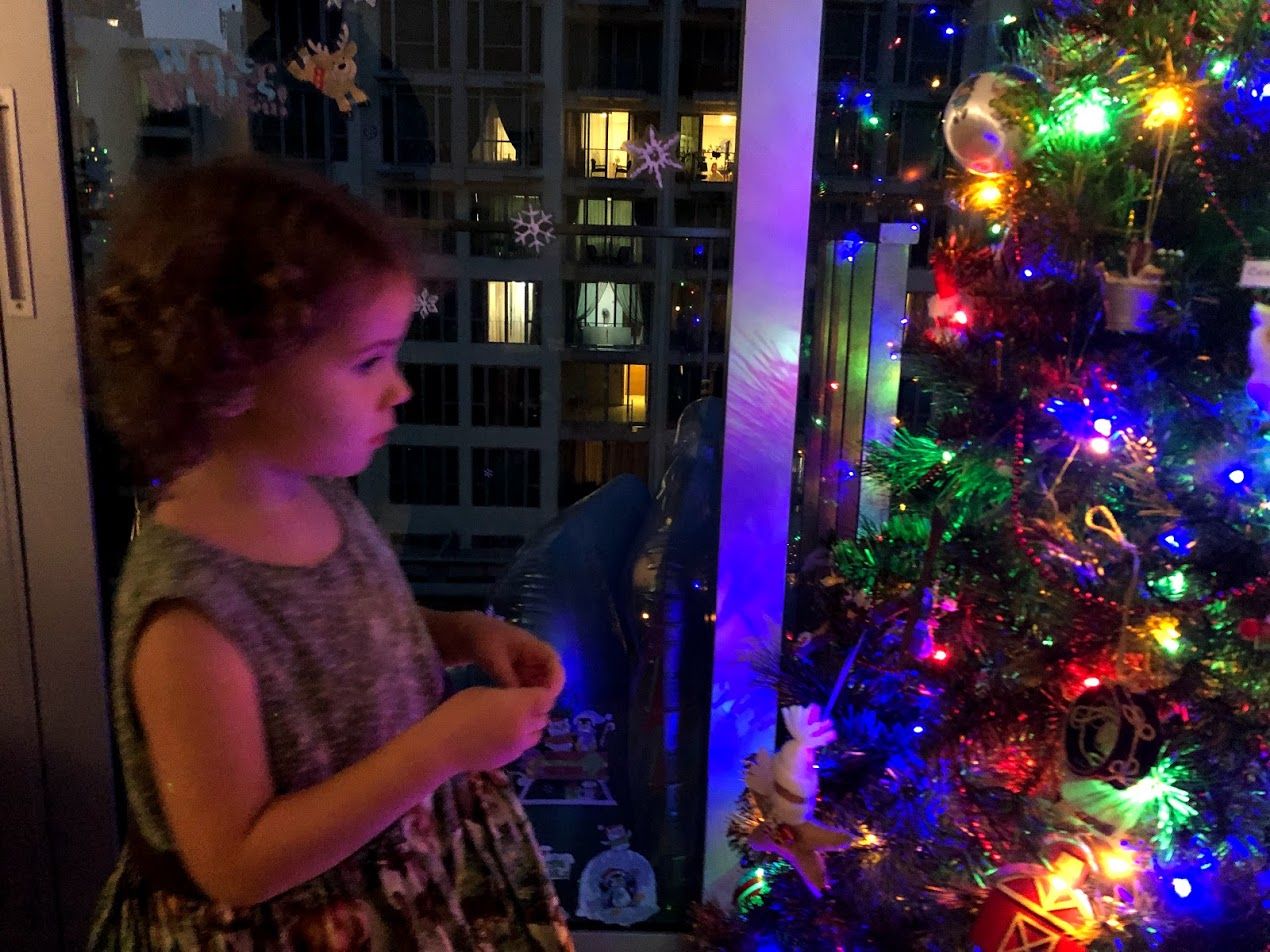 Highlights of the Christmas Season in Singapore