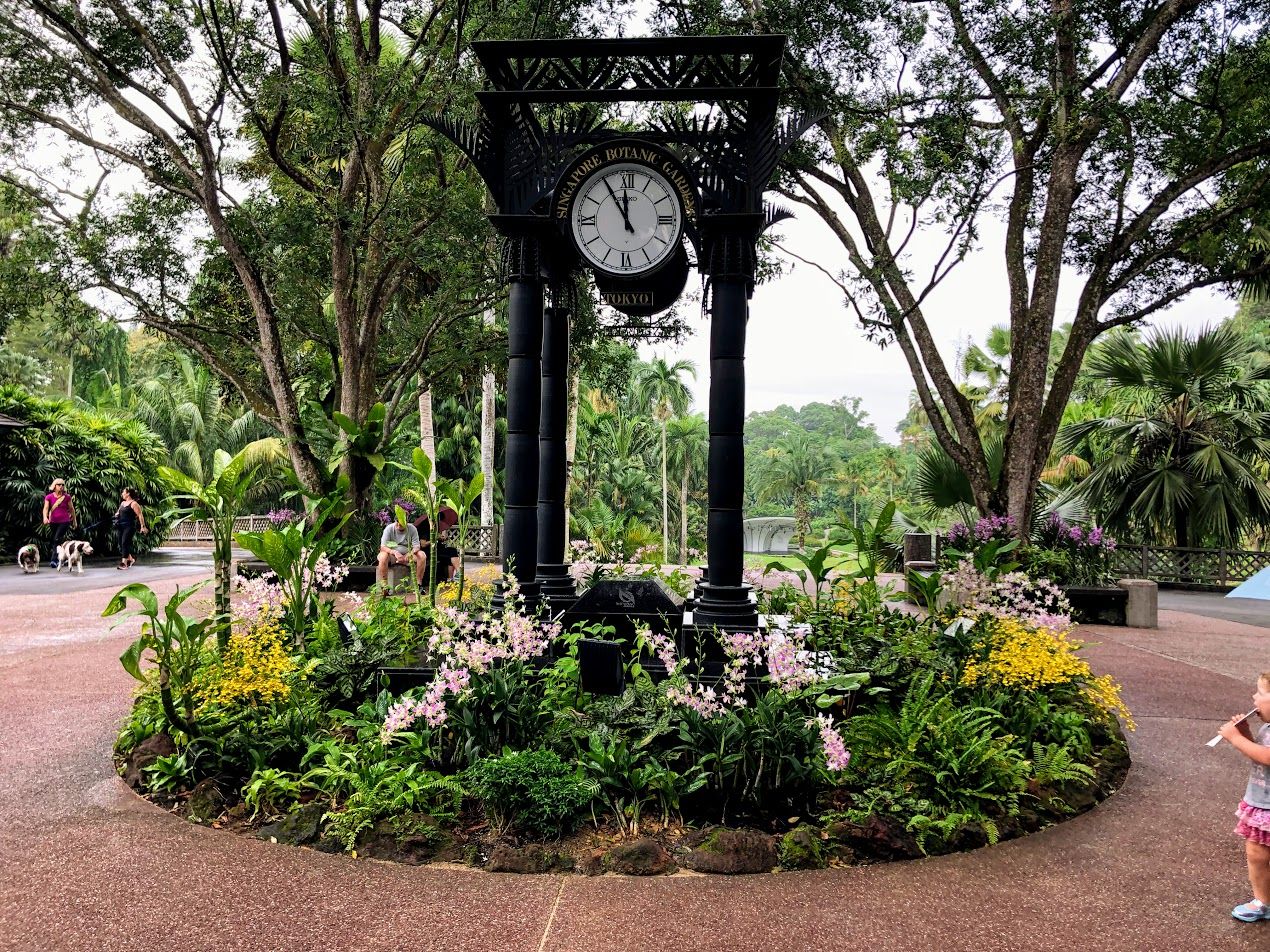 Orchid Garden, Botanic Gardens