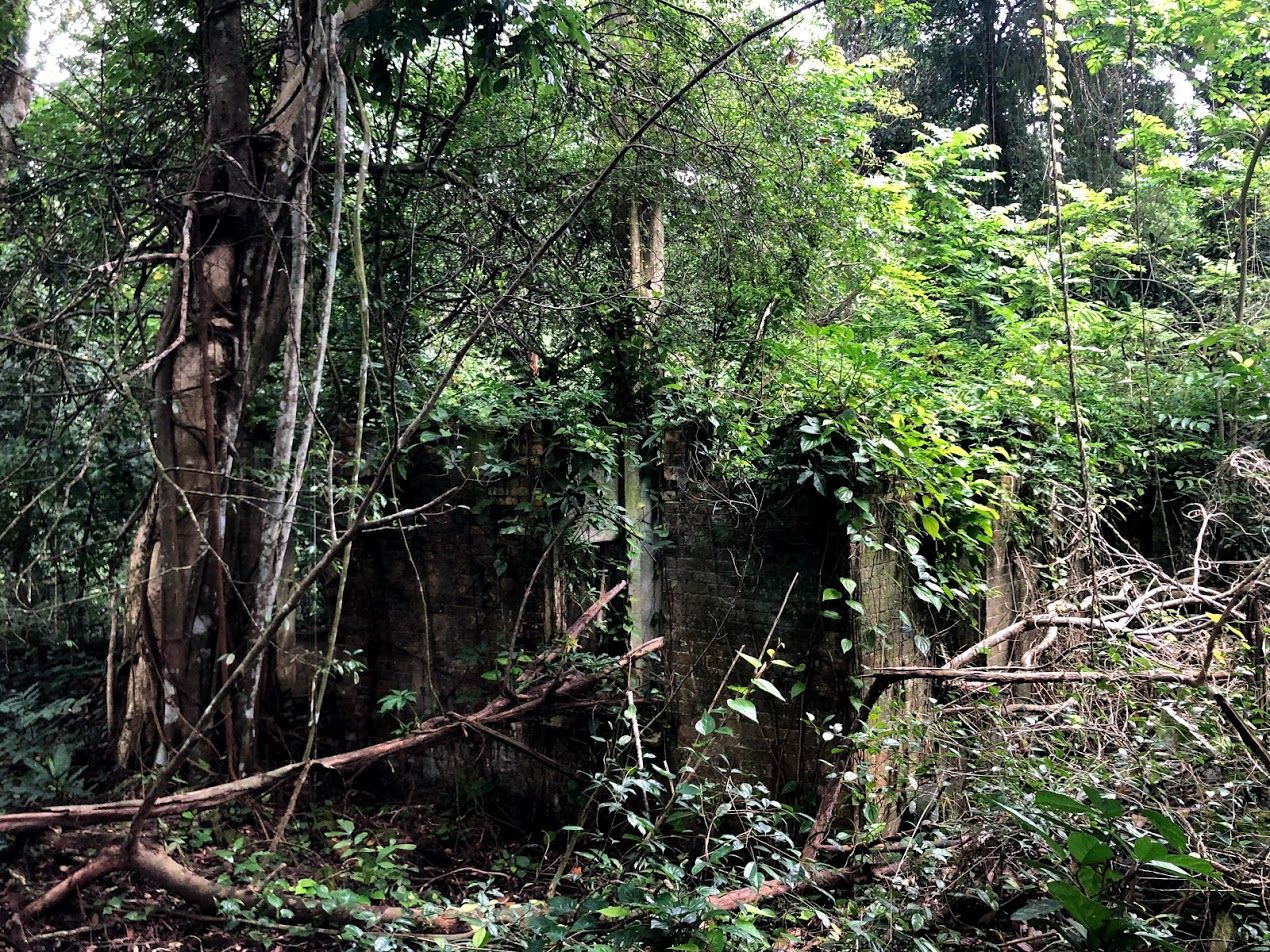 Travel Fail, Walk Success