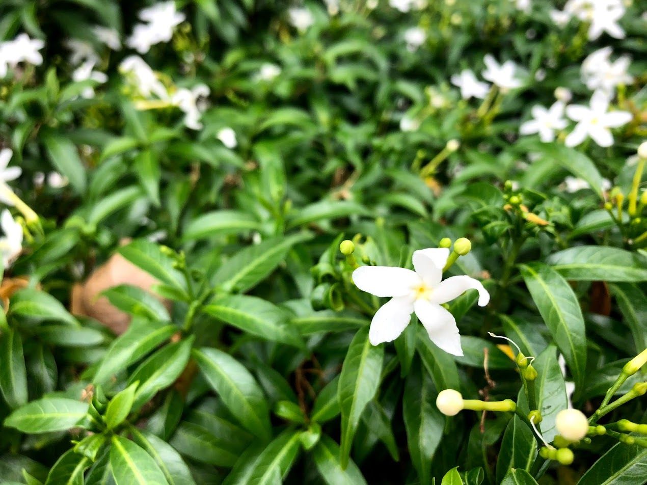 Thoughts on the New Year