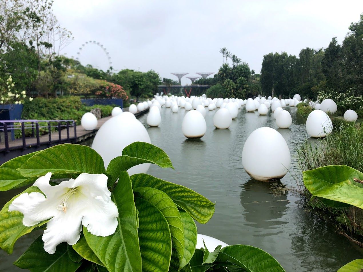 Gardens by the Bay Still Surprises