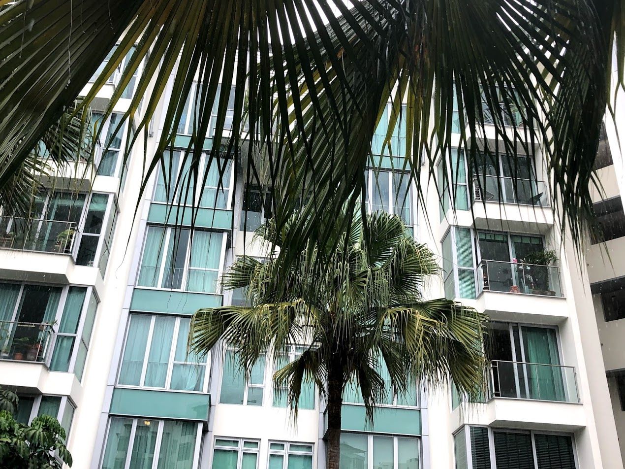 Social Distancing Log: Day 6