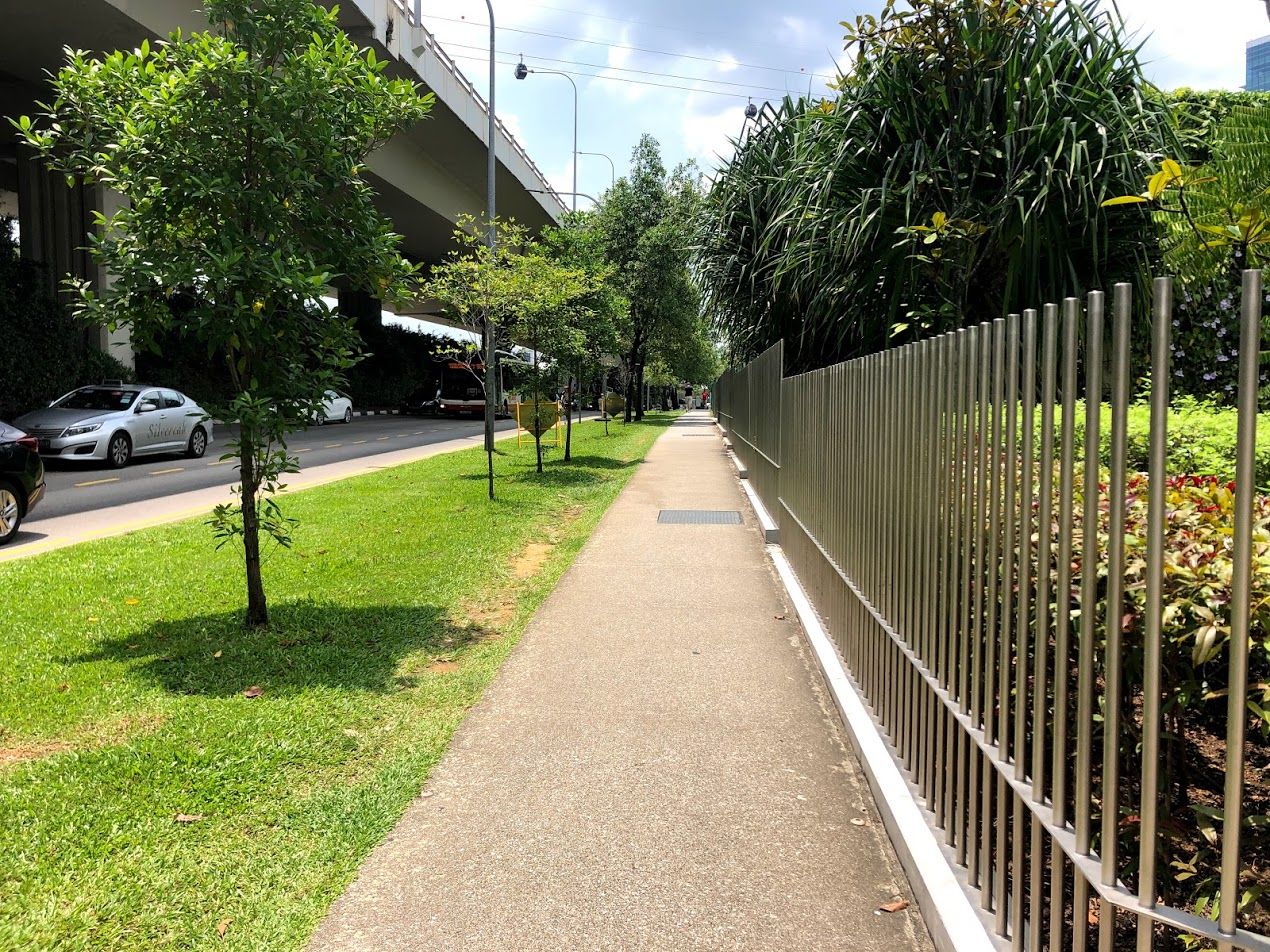 Social Distancing Log: Day 5 - Groceries