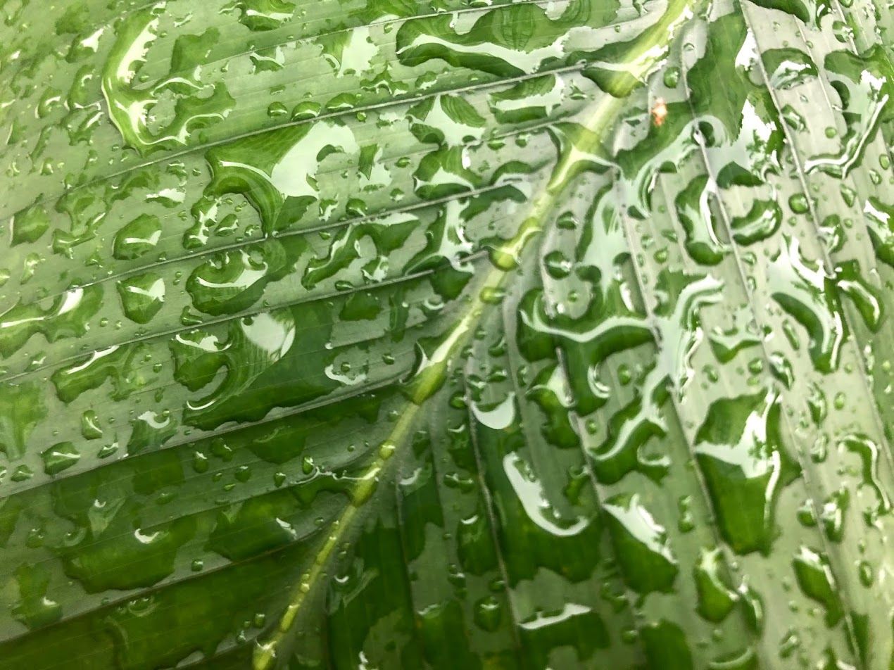 Unintended Consequences