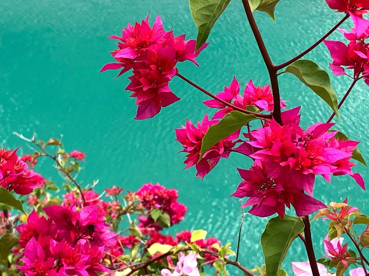 SDL Day 66 - Hot and Sweaty