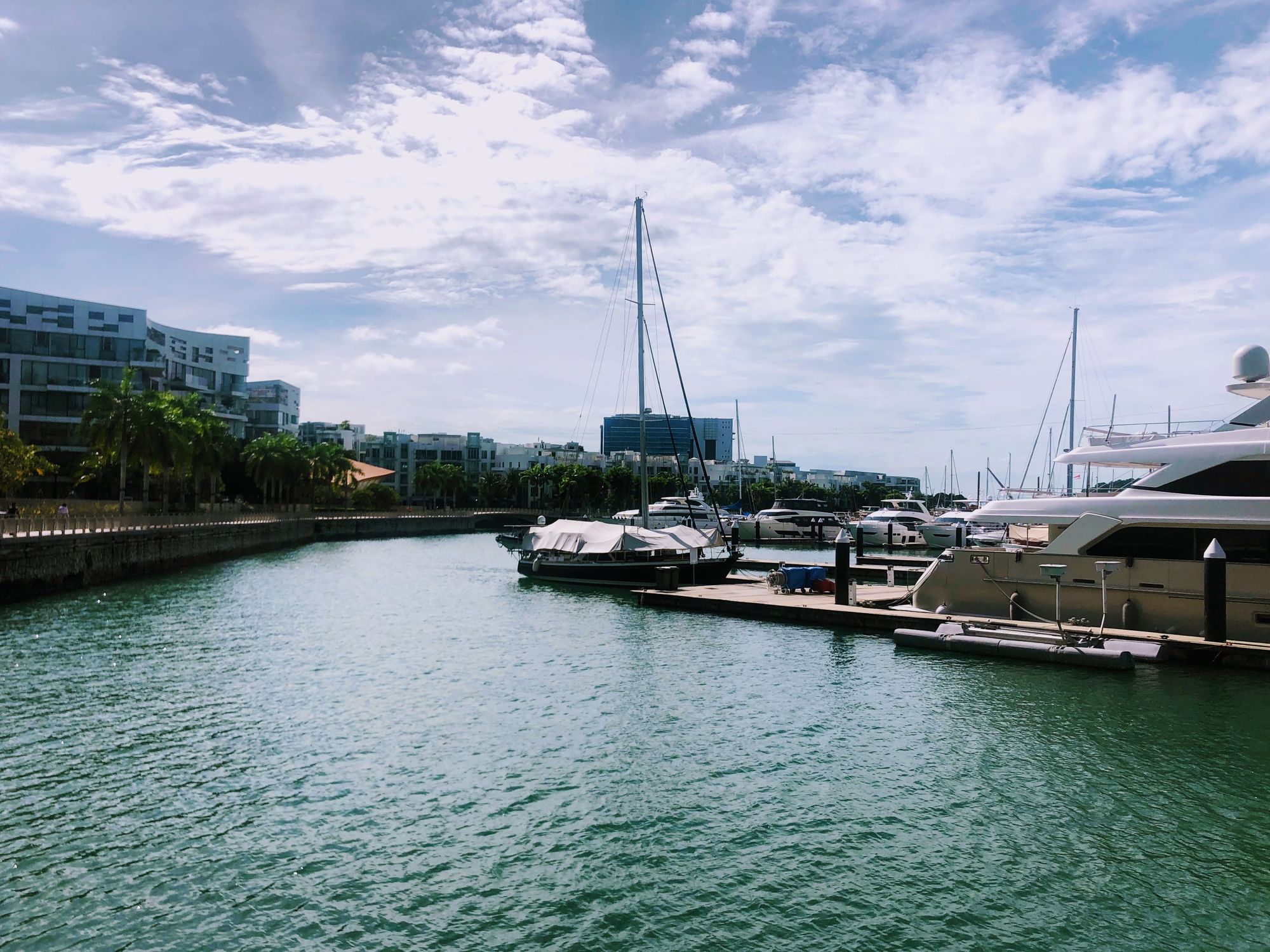 SDL Day 67 - The Consulate