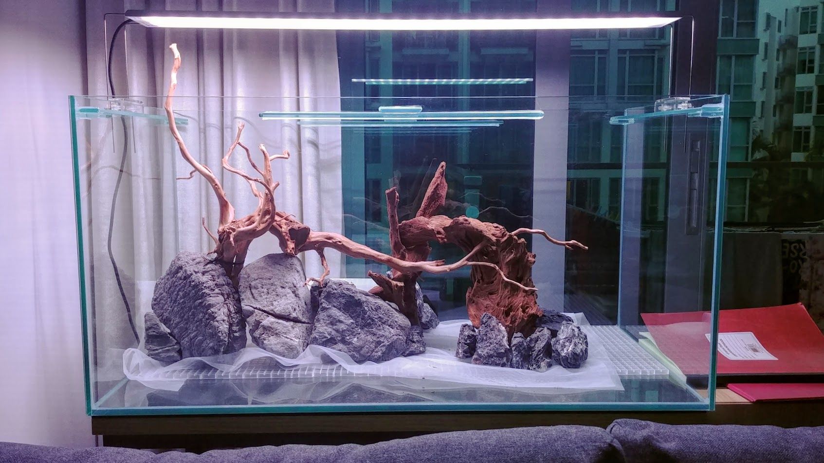 The fish tanks are starting