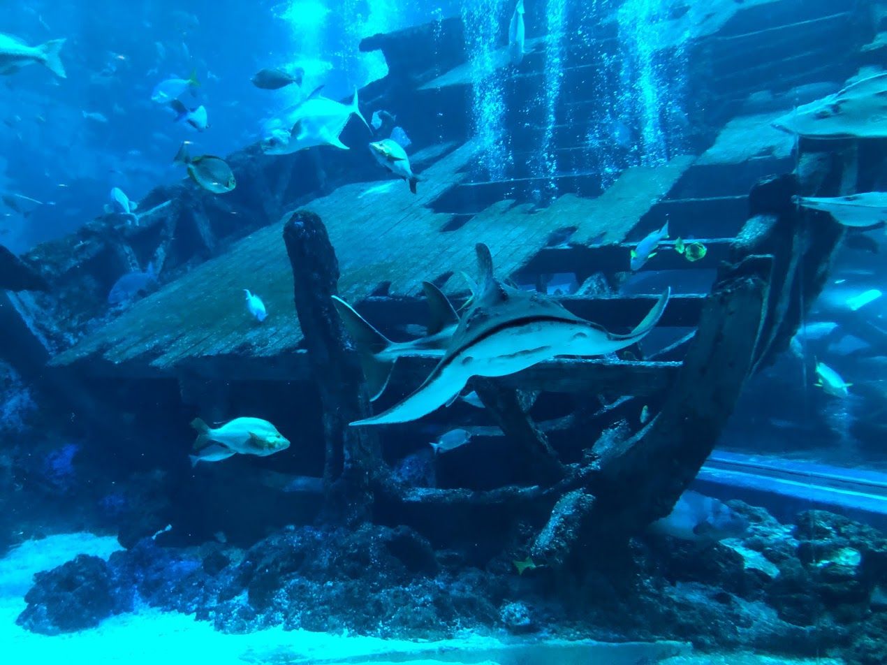 Blue Seas and Ice Cream