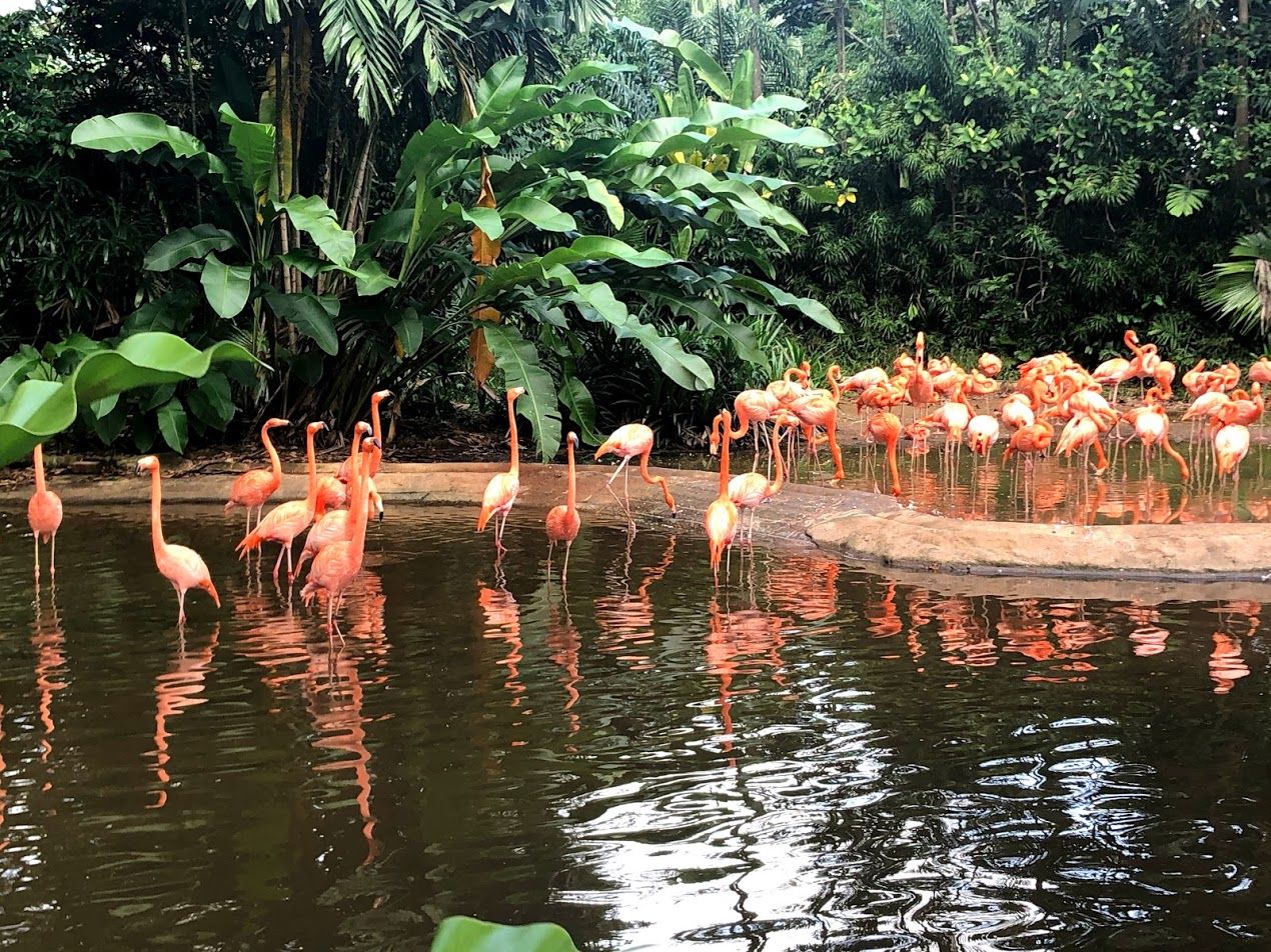 Bird Park Nature Journalling