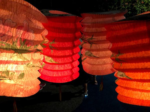 Lantern Walk with the Neighbours