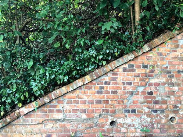 Scooters in Labrador Park
