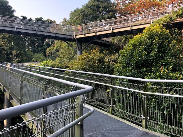 Drama class and a walk near Holt Park