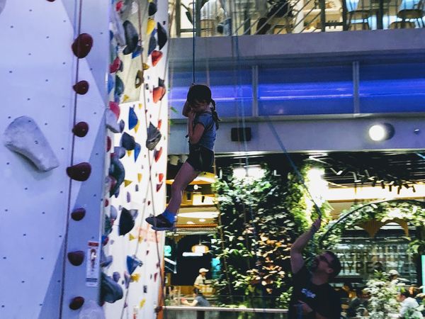 They Were Climbing the Walls!