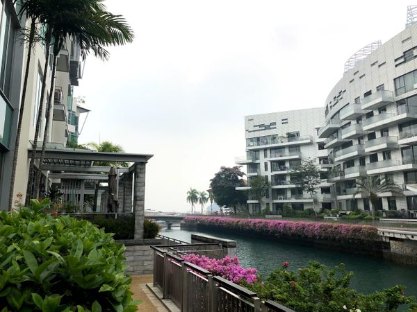 The Singaporean Haze