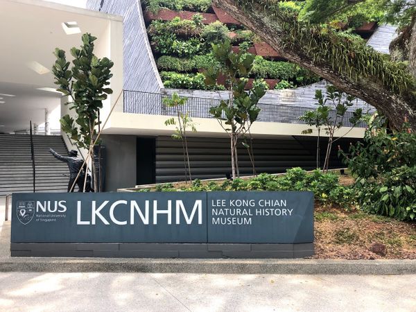 Lee Kong Chian Natural History Museum