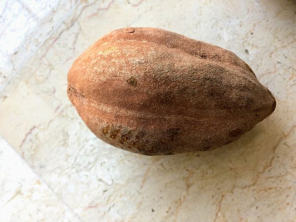 Lost in Translation - It is a Nut