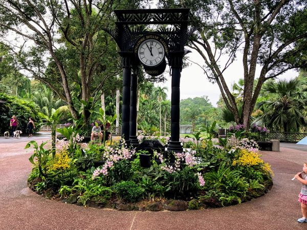 Orchid Garden, Botanic Gardens