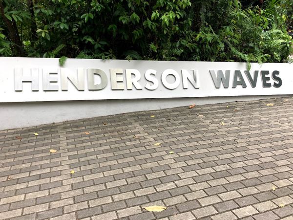 A Walk at Henderson Waves