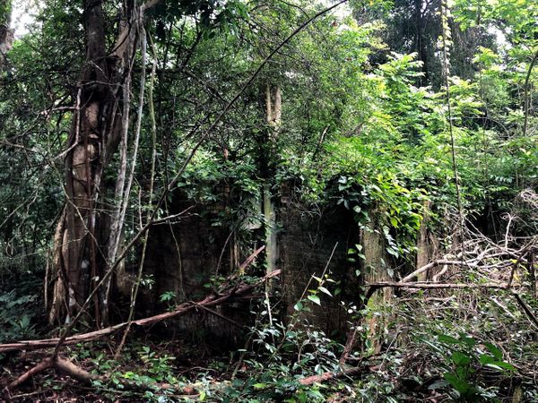 Travel Fail, Walk Success