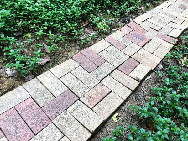 Orange Tree, Banana Tree