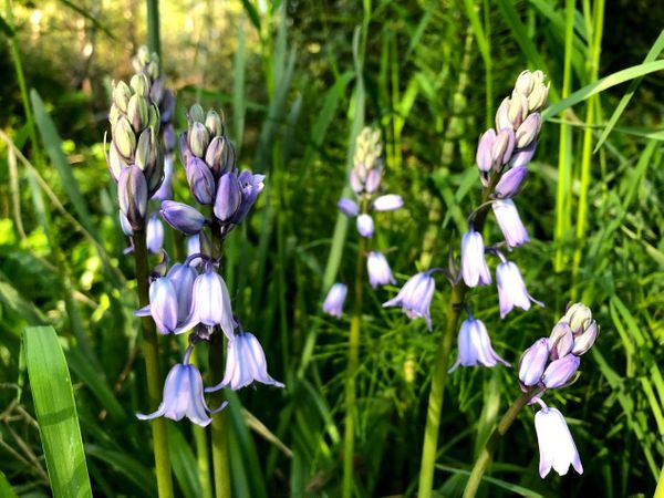 Feeling a Little Nostalgic