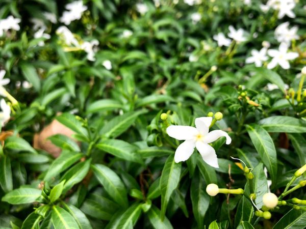 Thoughts on the New Year