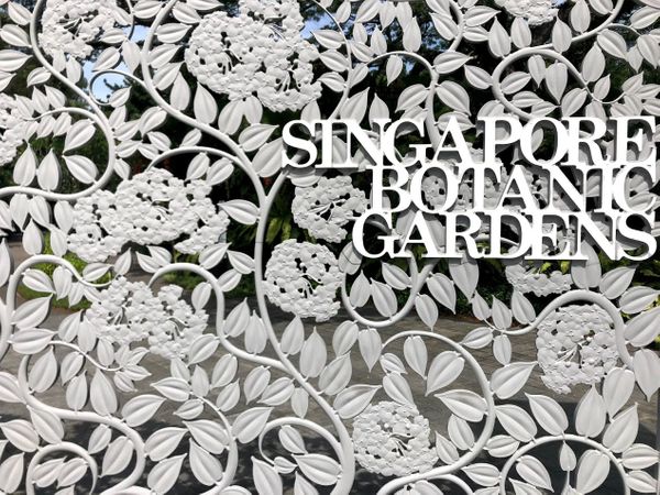 The Other Side of the Botanic Gardens