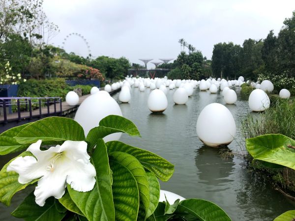 Gardens by the Bay Still Surprises
