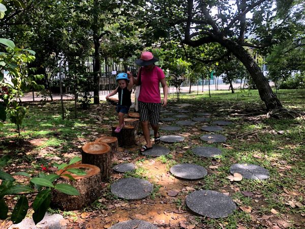 SDL Day 22 - Park Restrictions