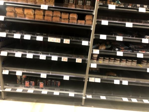 Hunt of the Tomato Sauce