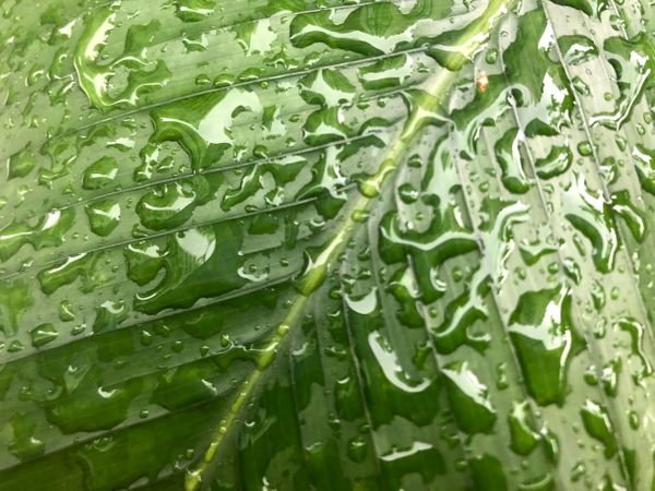 Unintended Consequences