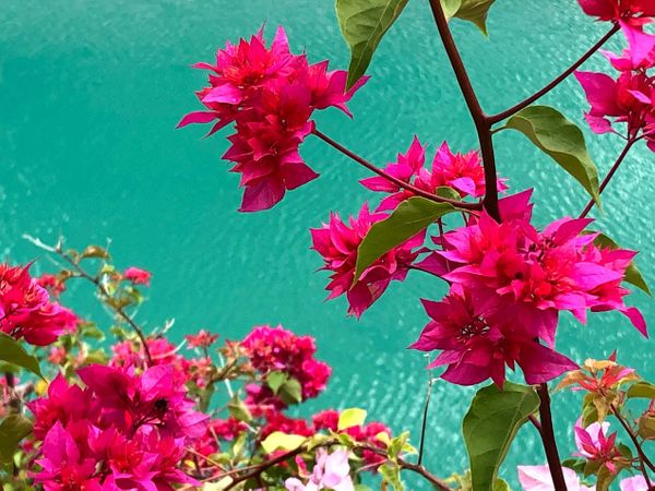 SDL Day 66 - Hot and Sweaty