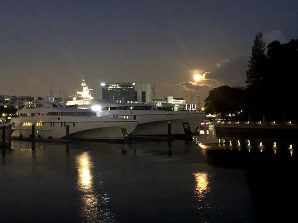 SDL Day 45 - Super Moon