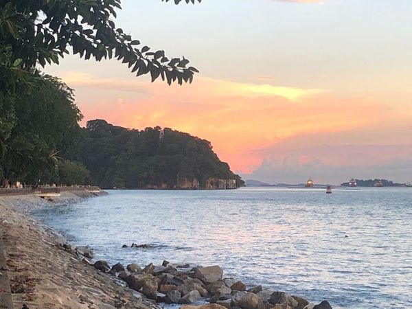 SDL Day 86: Phase 2 is coming