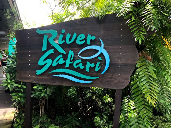Zoos and the River Safari