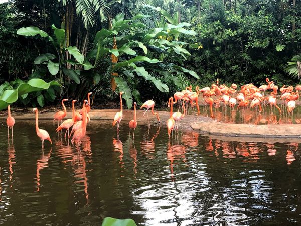 Bird Park Nature Journalling