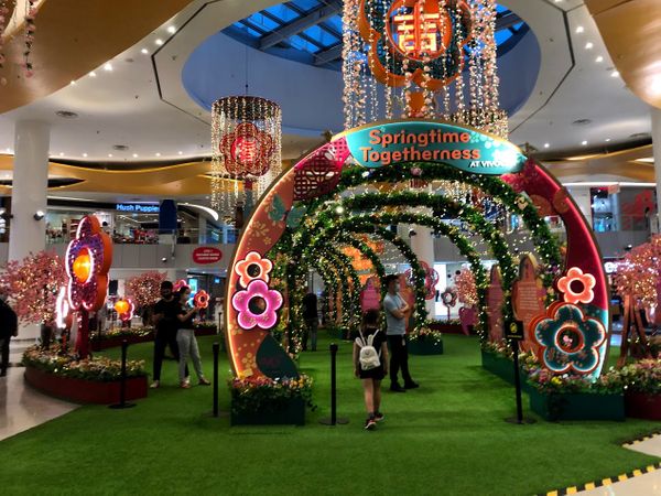 January Homeschool Highlights