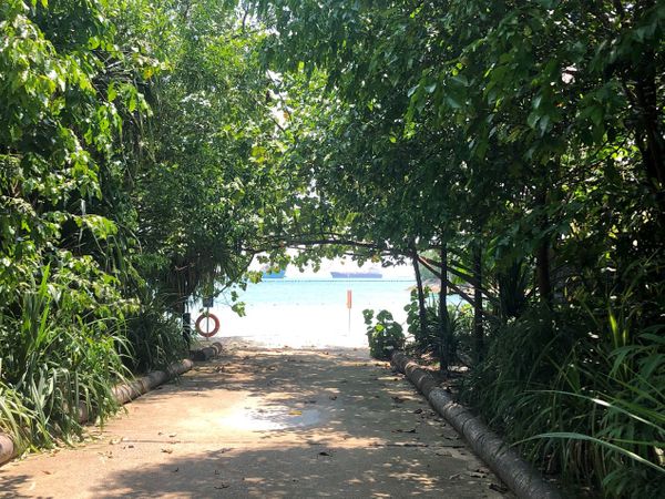 It's the Journey That Matters