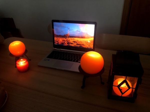 May Homeschooling Highlights